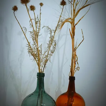 Country house Aljibe Morisco - - *