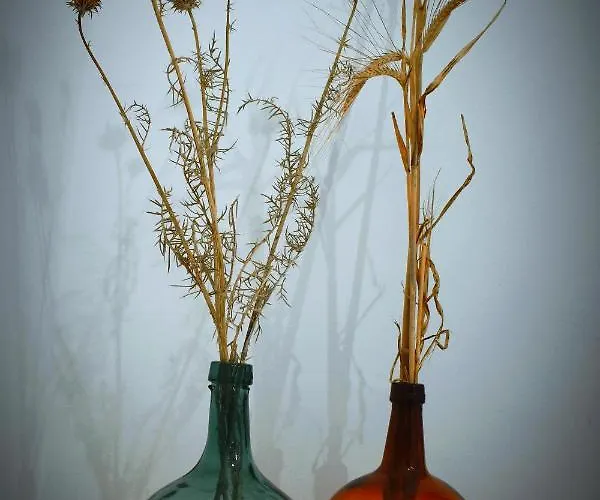 בית כפרי Aljibe Morisco - - *